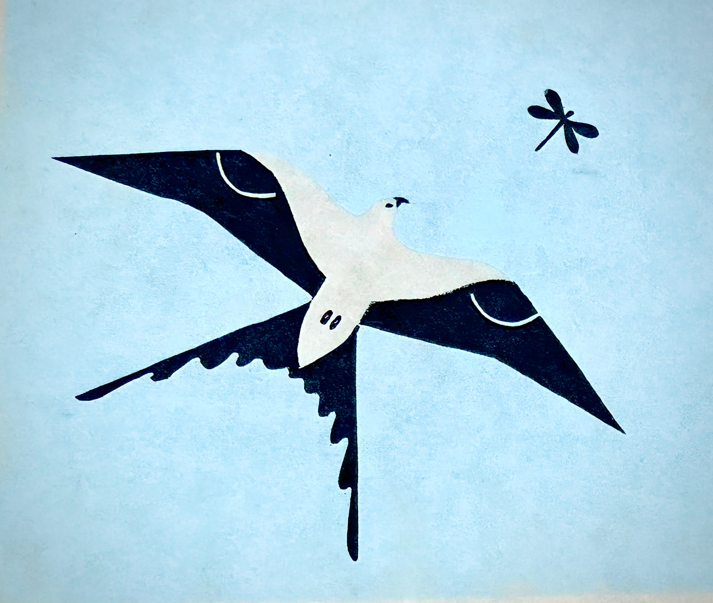 Swallow-Tailed Kite