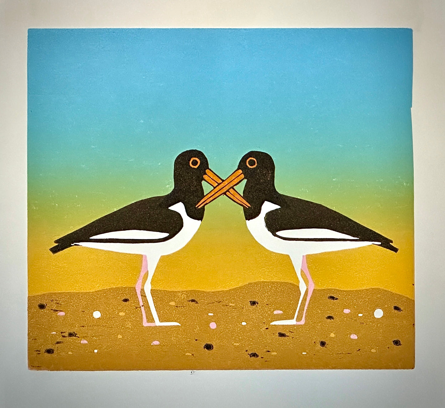 Oystercatchers