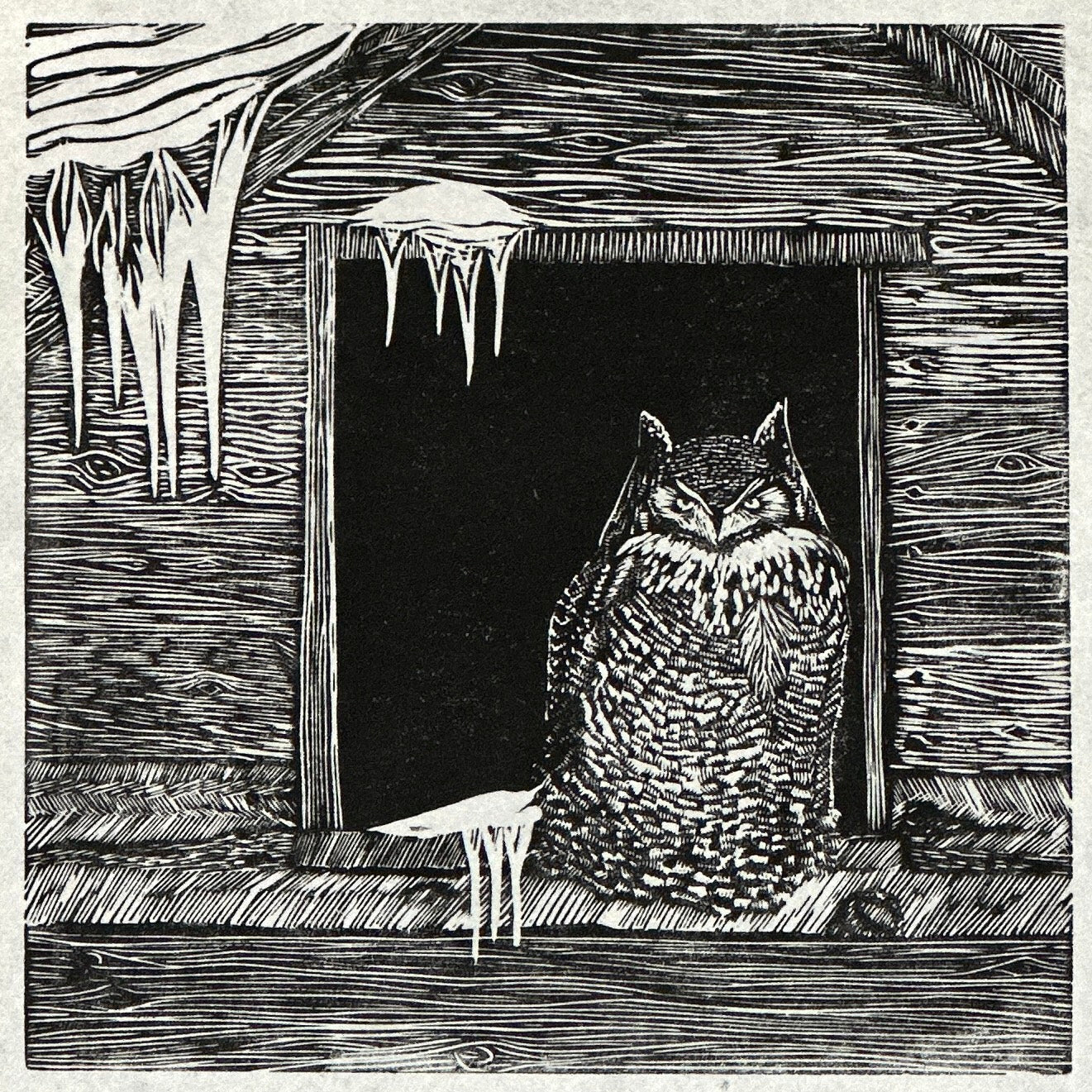 Winter Owl